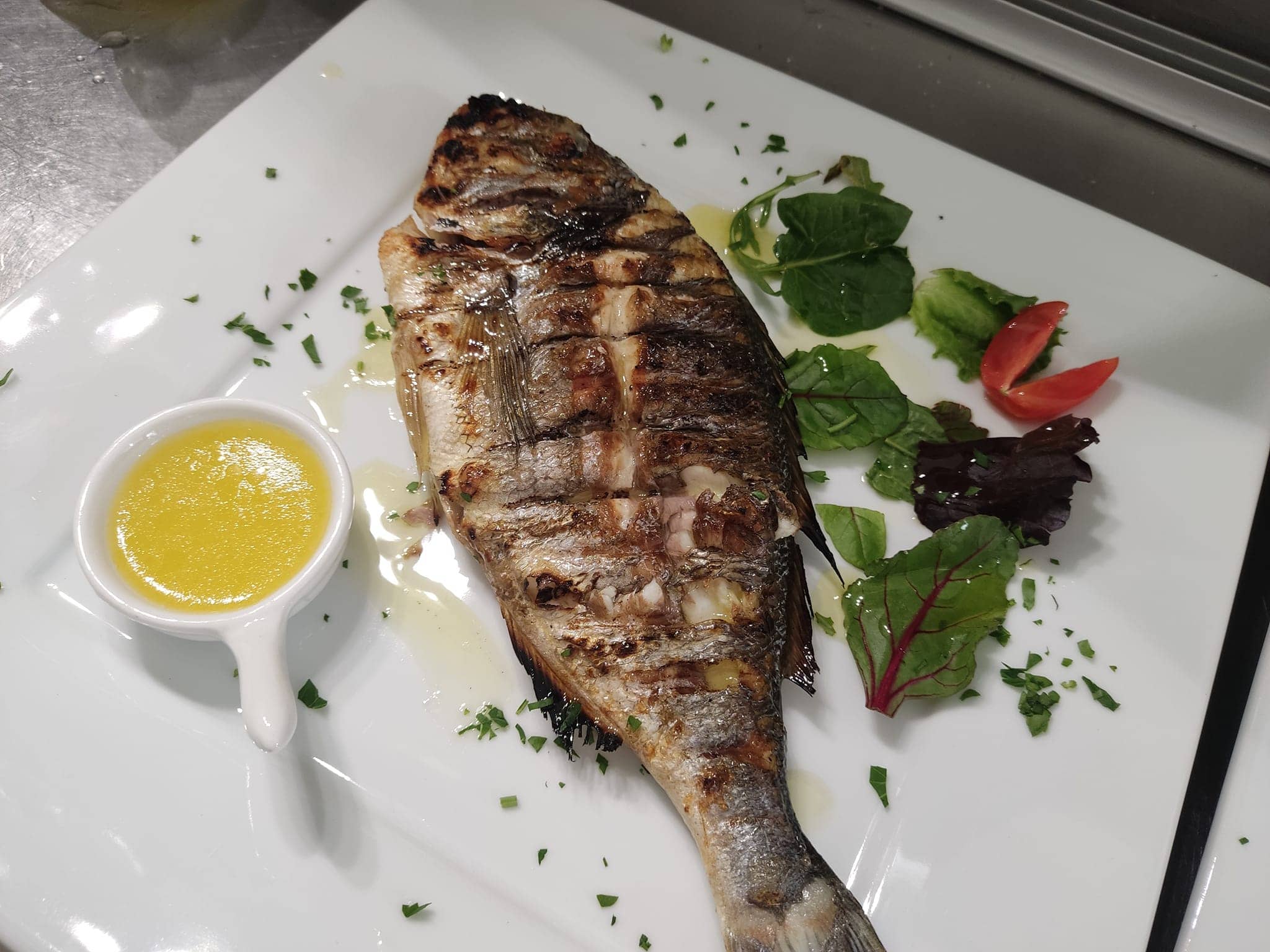 Sea bream