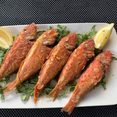 Red mullet